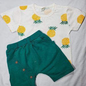 Pineapple Top & Bottom Set